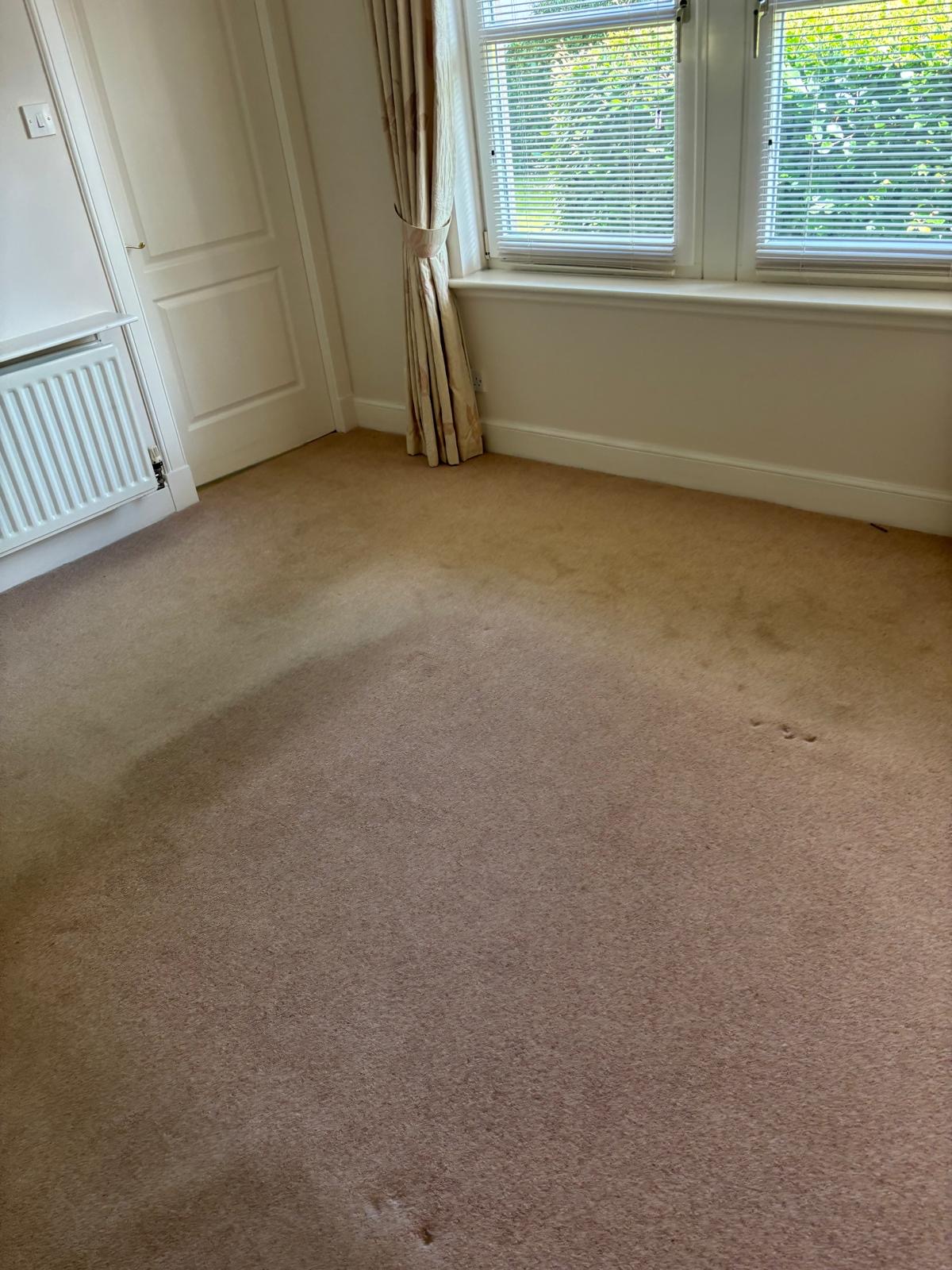 Old beige carpet in a room before LVT click flooring installation in Gullane